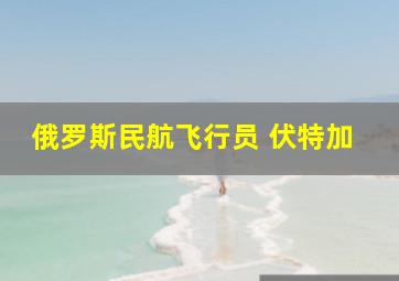 俄罗斯民航飞行员 伏特加